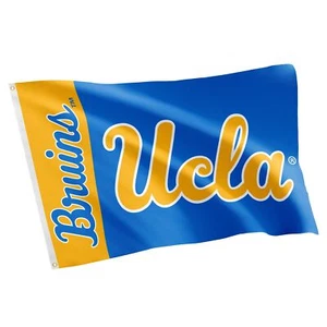 Desert Cactus UCLA Flag University of California Los Angeles Bruins Banners 1... - Picture 1 of 6