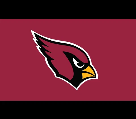Arizona Pro Football Team Flag 3 x 5 Tailgate Flag Mancave Football Banner Cover