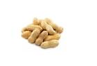 Peanuts in Shell Kosher Organic Vegan Natural Raw  Food Cook Snack F&F