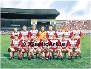 Derry All-Ireland Senior Football Champions 1993: Limited Edition GAA Print - Picture 1 of 1