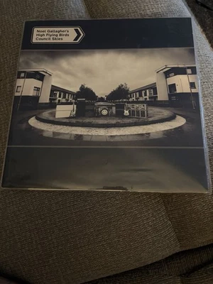 Noel Gallagher’s High Flying Birds-Council Skies-Black & White Limited Blood — 第 1/4 张图片