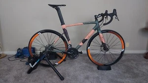 Specialized Allez Sprint "Forest Fire Artist's Design Edition" 56 cm Disc Brake - Picture 1 of 14