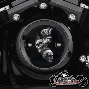 HARLEY DAVIDSON MILWAUKEE 8 EIGHT TIMING POINTS COVER M8 Smokin Skulls - Picture 1 of 1
