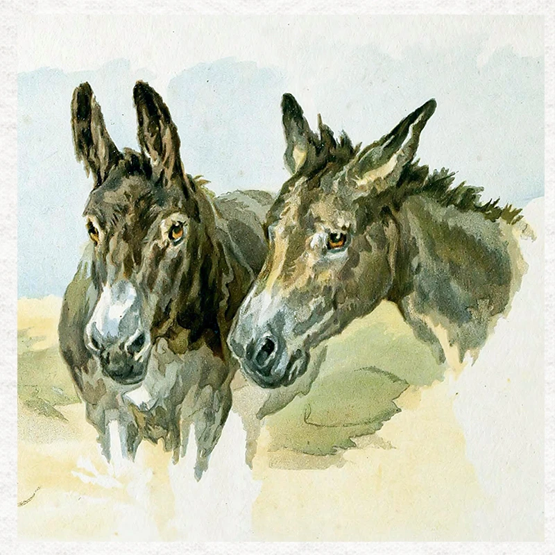 MOONLAKE FABRICS Esel-Vintage - Stoff Handwerk Paneele in 100 % Baumwolle oder Polyester