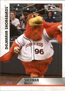 Sherman 2019 Choice Delmarva Shorebirds #34 RC Card Delmarva Shorebirds - Picture 1 of 1