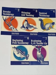 5er Set Taxidermie für Anfänger - 2, 3, 4, 6, 7 - von Ken Edward’s - alle schön - Bild 1 von 11