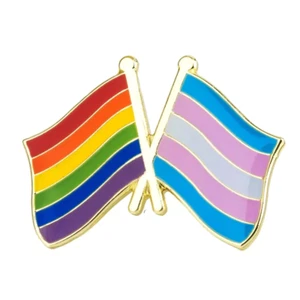 LGBTQ Rainbow Flag and Transgender Flag Unity Lapel Pin FREE USA SHIPPING SHIPS - Picture 1 of 1