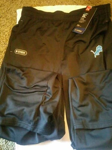 UNDER ARMOUR Detroit Lions  NFL COMBINE PANTS Kids YXL NWT Football Gym Ball - Picture 1 of 12