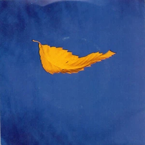 New Order TRUE FAITH Australian 1987 FACTORY Records RARE 7" SINGLE - Picture 1 of 1