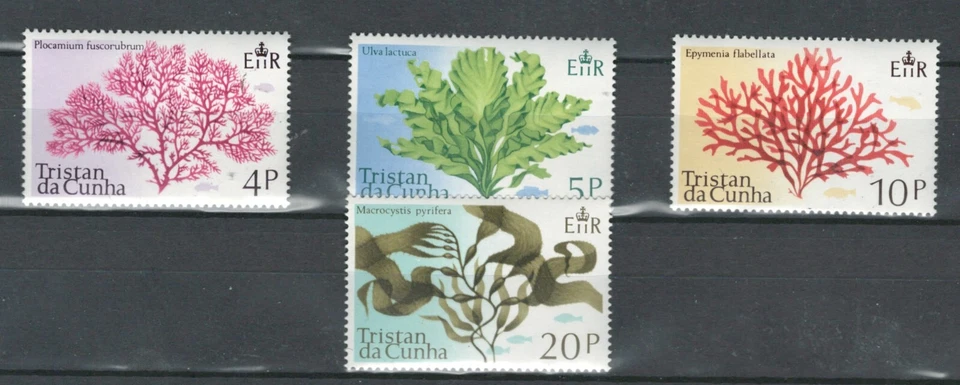 LOTE DE SELLOS CONJUNTO PLANTAS FLORA MARINA TRISTAN DA CUNHA MNH (TRIS 309) Foto 1 de 1