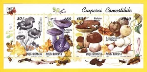 1994 EDIBLE MUSHROOMS STAMP SHEET of 4 ROMANIA PERLATUM EDULIS NUDA ARTIST ANIKO - Picture 1 of 1