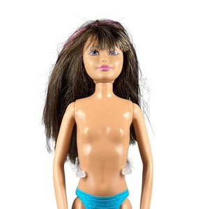 Muñeca Barbie Sisters Skateboard Skipper 2011 #T7429 - Imagen 1 de 4