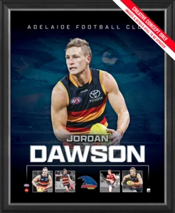Jordan Dawson Adelaide Crows 2023 Official AFL Sportsprint Framed - 5488 - Foto 1 di 1