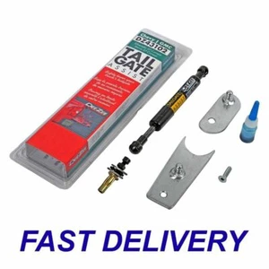 New Dee Zee DZ43102 Tailgate Assist Fits Colorado Silverado 1500 GMC Sierra 1500 - Picture 1 of 3