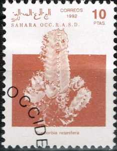 Sahara Flora Cactus stamp 1970 A-4 - Imagen 1 de 1