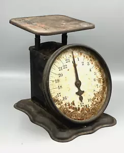 Working Antique Triner Family Kitchen Scale 24 Pounds Regulating Screw in Back - Picture 1 of 8