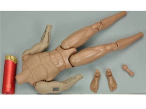DAMTOYS DAM SF002 1/6 Scale GHOST SERIE TITANS PMC Frank Casey Body Model - Picture 1 of 3