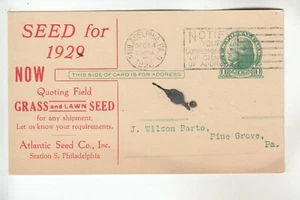 Postkarte The Atlantic Seed Co Philadelphia PA - Bild 1 von 2