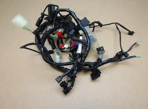 Arnés telar cableado Honda Forza NSS 125 AD-N 2022 674 millas (11596) - Imagen 1 de 6