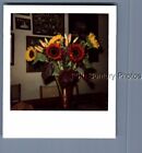 FOUND COLOR POLAROID L_1864 PRETTY FLOWERS IN VASE ON TABLE