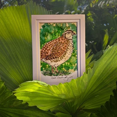 Original Watercolor,  signed painting CouturnixQuail, by Herbie Hasbrouck Jr - Image 1 of 3