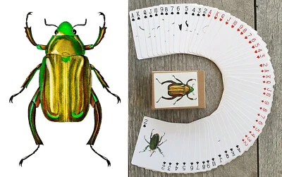Playing Cards (Poker Deck 54 Cards) INSECT KINGDOM Beetles Bugs Nature Art 170 - Image 1 of 4