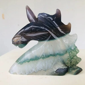 357g Natural Druzy Green Agate Quartz Crystal Unicorn Hand carved Healing X314 - Picture 1 of 15