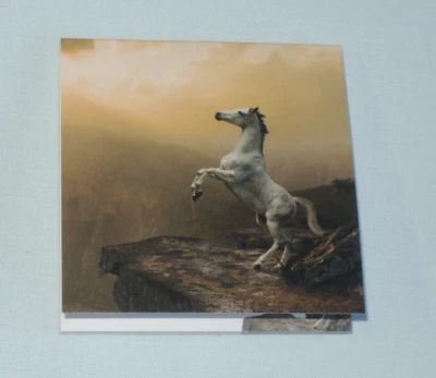 Haftnotizen Weißes PFERD  Fantasie  Klebezettel 7,2x7,2 cm 50 Blatt Notizzettel - Bild 1 von 3