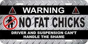 ADVERTENCIA SIN FAT CHICKS CAMIÓN COCHE NOVEDAD ALUMINIO METAL PLACA DE MATRÍCULA ETIQUETA 10 - Imagen 1 de 4