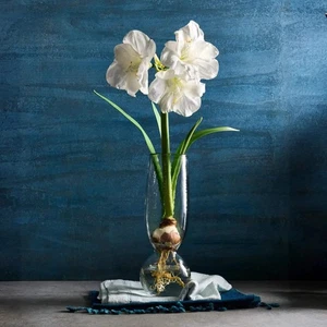 Pebbled Bulb Vase - Bild 1 von 1