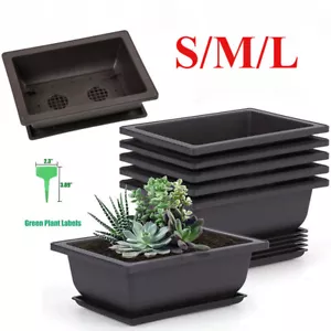S/M/L Plastic Bonsai Training Pot and Tray Plant Label Bonsai Planting Pots AU - Picture 1 of 15