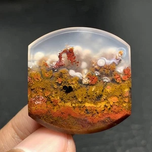 Scenic Moss Agate Cabochon 27x26x5mm High Quality 35 ct - Picture 1 of 6