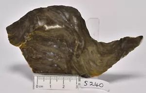 STROMATOLITE Kussiella cf. kussiensis, Paleoproterozoic, CANADA, S240 - Foto 1 di 3