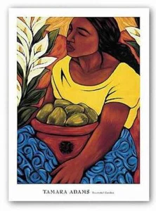 Bountiful Garden Tamara Adams Latin Art Print Poster 30x22 - Bild 1 von 1