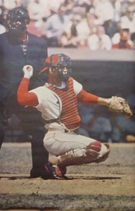 Póster de Tim McCarver Cardinals 1968 2x3 Sports Illustrated sin abrir envío gratuito - Imagen 1 de 2
