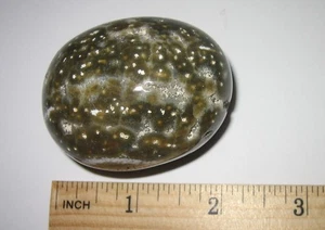 2.3" HERMOSO MINERAL DE PIEDRA DE PALMA DE JASPE NATURAL PULIDO EN CAÍDA 124 gramos - Imagen 1 de 4