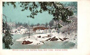 Postcard NY New York City Bridge over Lake Central Park Winter Vintage PC J9593