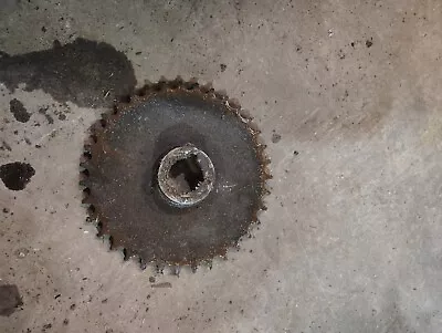 Piñón eje poulan pro pp5524es 532402691 Foto 1 de 2