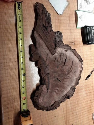 Borde vivo de burl de nogal de 1 pulgada Foto 1 de 2