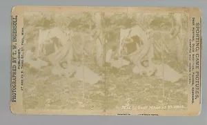 MINNESOTA RPSV um 1880 Ojibway INDIANERLAGER Frauen Zelt Indianer Chippewa INGERSOLL - Bild 1 von 3