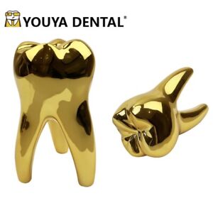 1x Dental Clinic Small Tooth Model Teeth Shape Sculpture Figurines Ornament Gift