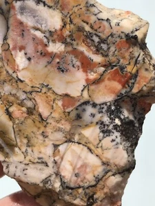 Opalized Dendritic Pink Amethyst Sage Agate 6 1/4” Slab Rough Lapidary Gem Stone - Picture 1 of 11