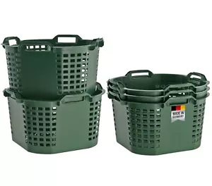 5x Laubkörbe lebensmittelecht Obstkörbe 50L Gartenkorb Stapelbar Erntekorb grün - Bild 1 von 12