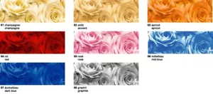 Papel transparente URSUS 5 hojas DIN A4 ROSAS 1 color de ocho - Imagen 1 de 9