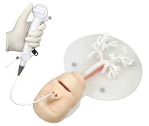 Simulador de entrenamiento de broncoscopia con epiglotis suave y árbol bronquial rígido - Imagen 1 de 10