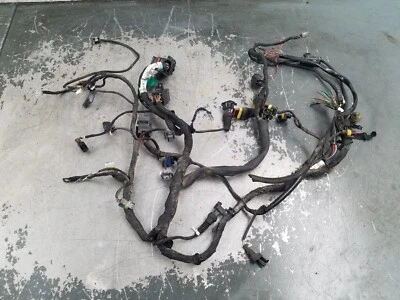 2009 09 Ducati Monster 1100S Wiring Harness - ** #8115 V4 Foto 1 de 4