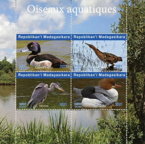 Madagascar Water Birds on Stamps 2021 CTO Ducks Herons Bitterns 4v M/S II Cover