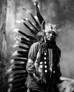 Native American CHIEF LITTLE HORSE Glossy 8x10 Photo Oglala Lakota Print Indian - Picture 1 of 1