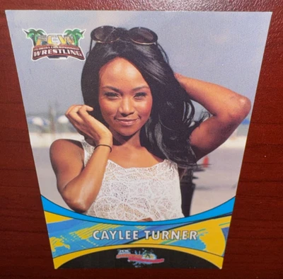 Tarjeta debut de novato Caylee Turner 2012 FCW Summer Slamarama RC WWE NXT rara Foto 1 de 3