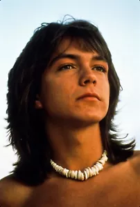 Estrella Cantante Años 70 "DAVID CASSIDY" (FOTO) "La Familia del Cartucho" Nuevo 071 - Imagen 1 de 1
